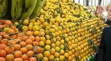 أسعار الفاكهة بسوهاج.. تفاوت أسعار البرتقال واليوسفي في أسواق المحافظة اليوم